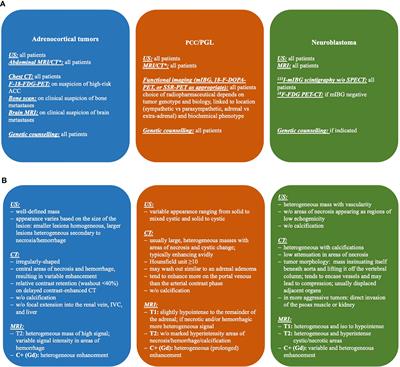 Adrenocortical Tumors and Pheochromocytoma/Paraganglioma Initially Mistaken as Neuroblastoma—Experiences From the GPOH-MET Registry